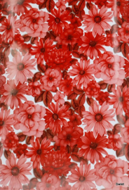 Plakplastic met bloemen