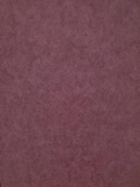 Ossenrood betonlook behang