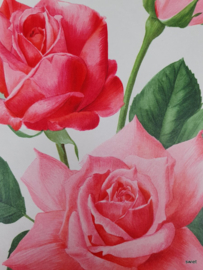 Vintage rozenposter, Mondial Pink