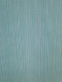 Gemeleerd blauw behang