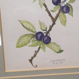 Ingelijste aquarel