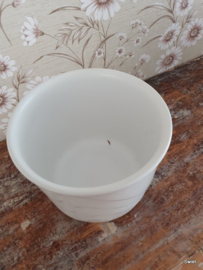 Vintage witte bloempot