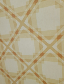 Geruit gewyberd vintage behangpapier