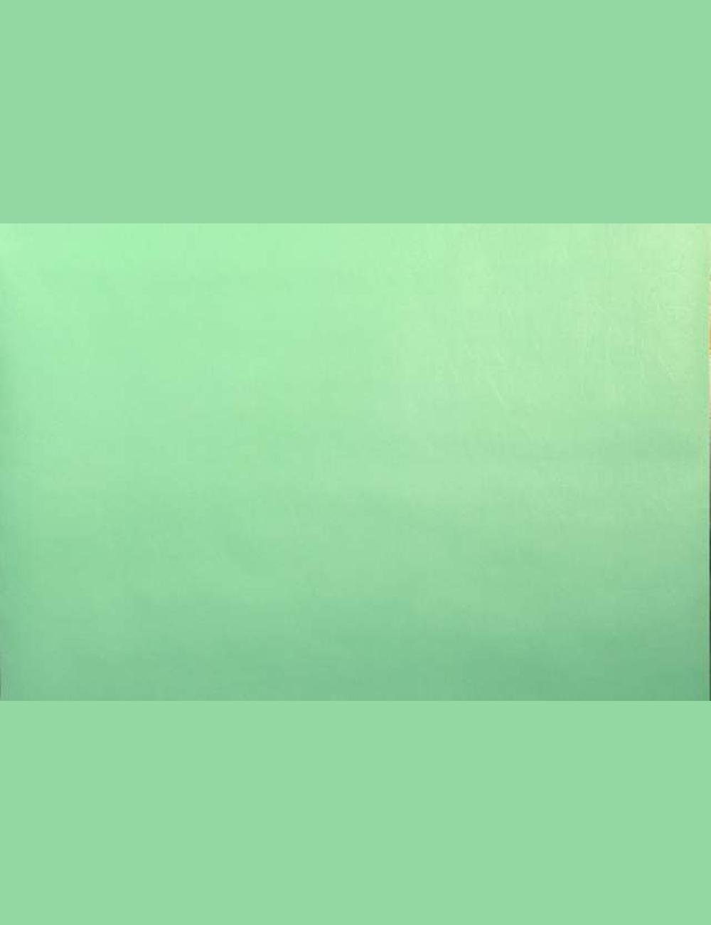Groen vinyl behang