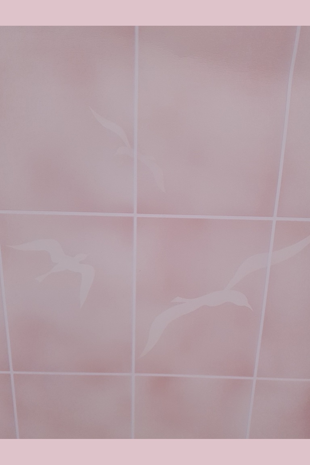 Roze vinyl met meeuwen