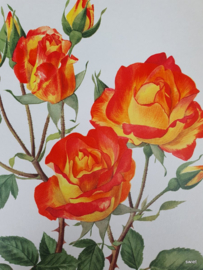 Vintage rozenposter, Charleston