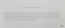 Vintage rozenposter, rasa chinesis mutabilis
