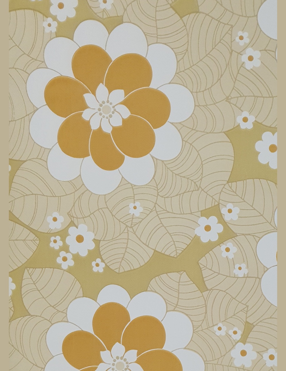Groovy vintage behang