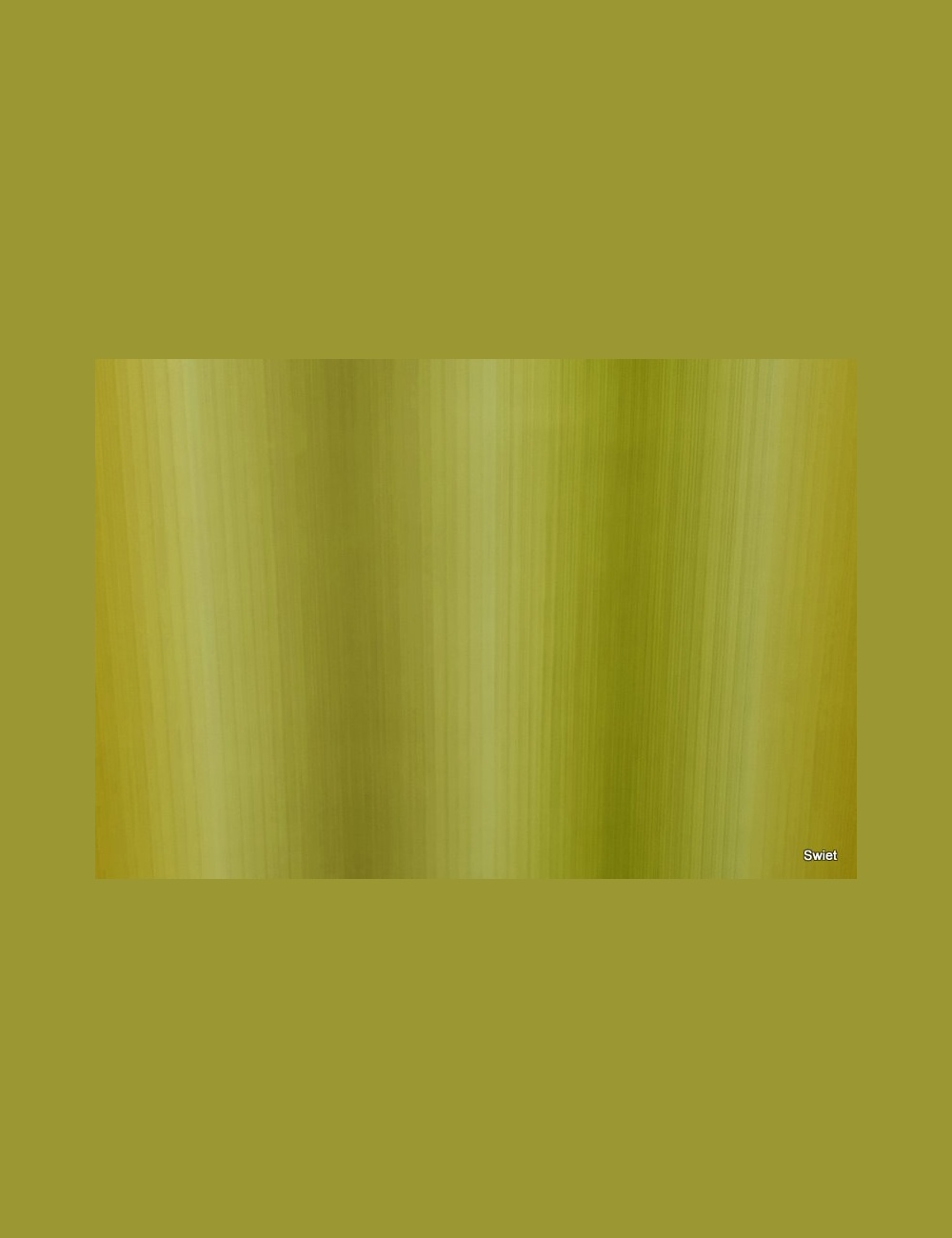 Gestreept behang