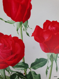 Vintage rozenposter, Lovita