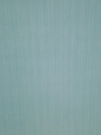 Gemeleerd blauw behang