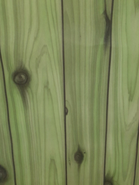 Schrootjeslook behang groen