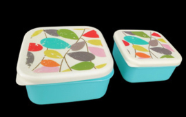 plastic voorraadbakjes