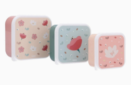 3 little garden lunchboxen