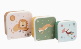 3 Savannah lunchboxen