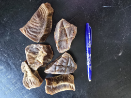 Tonijnfilet moten ca 200 gram