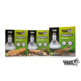 Giganterra gigaHID 35,50,70 