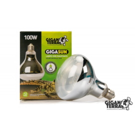 Giganterra Gigasun 100watt