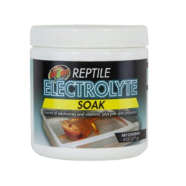 Electrolyte soak