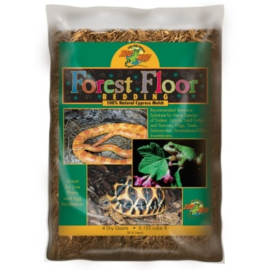 Forest floor