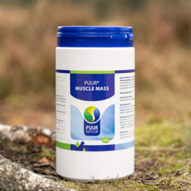 Puur Muscle Mass (500 gram)