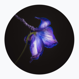 Blauwe bloemen op muurcirkel