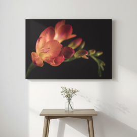 Crocosmia op canvas