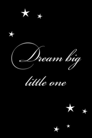 Dream big little one op canvas