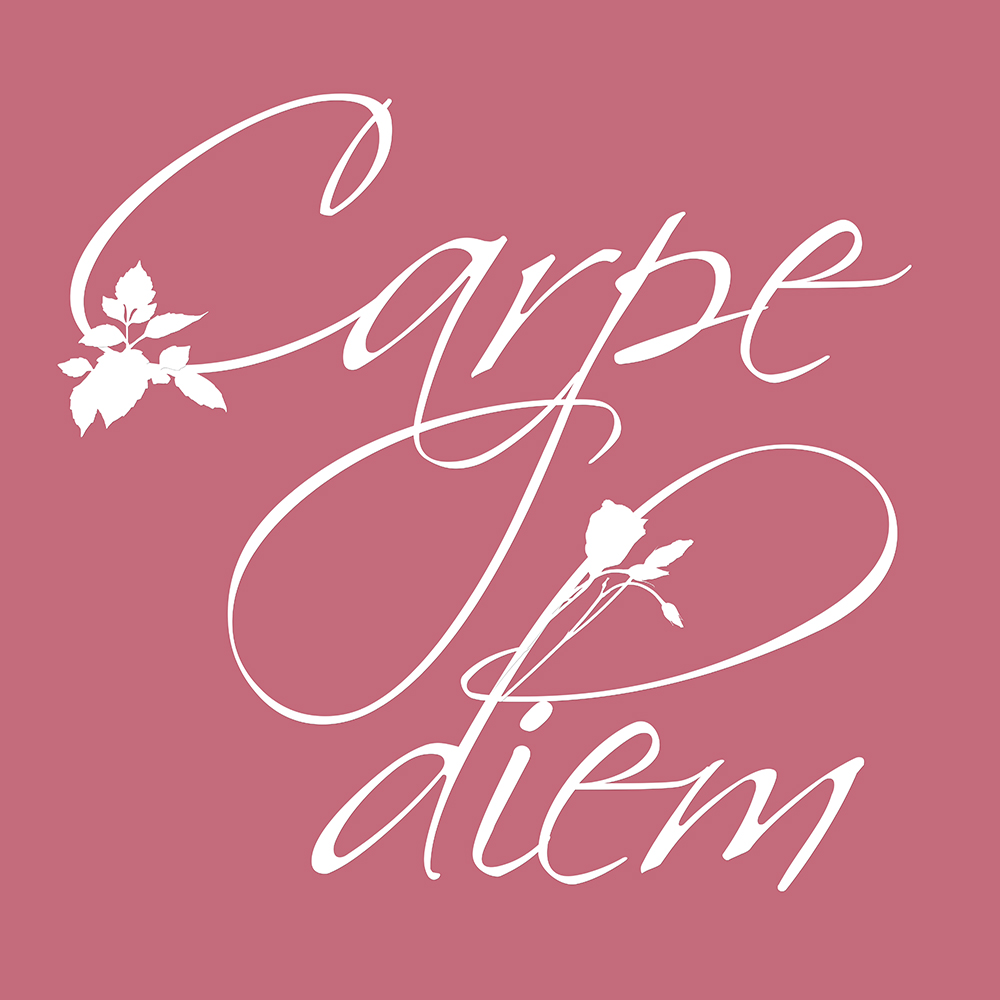 Carpe Diem op canvas roze