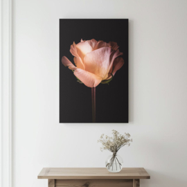 Roos op canvas