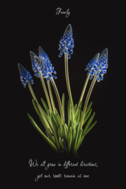 We all grow in different directions - Canvas schilderij