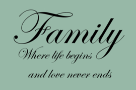 Family where life begins op canvas groen