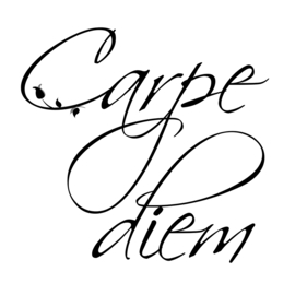 Carpe Diem op canvas wit