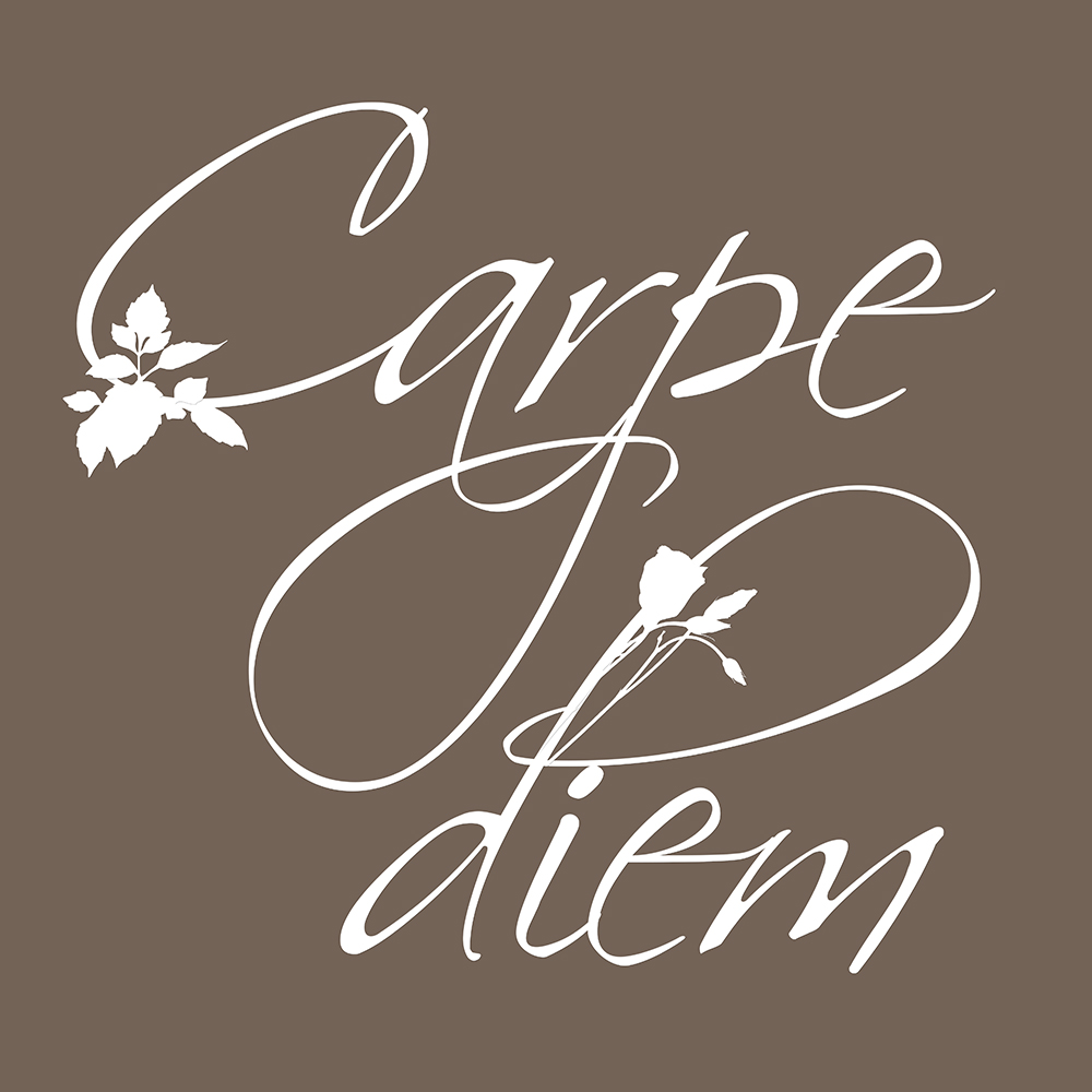 Carpe Diem op canvas taupe