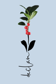 Geboortebloem december - Canvas schilderij