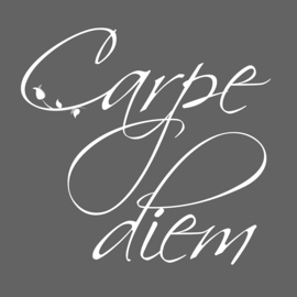 Carpe Diem op canvas