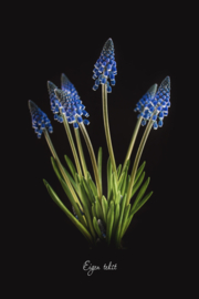 We all grow in different directions - Canvas schilderij