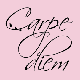 Carpe Diem op canvas roze