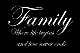 Family where life begins op canvas