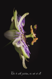 Do it with passion - Canvas schilderij