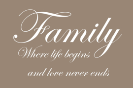 Family where life begins op canvas