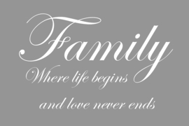 Family where life begins op canvas