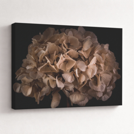 Bruine bloemen op canvas