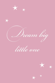 Dream big little one op canvas roze