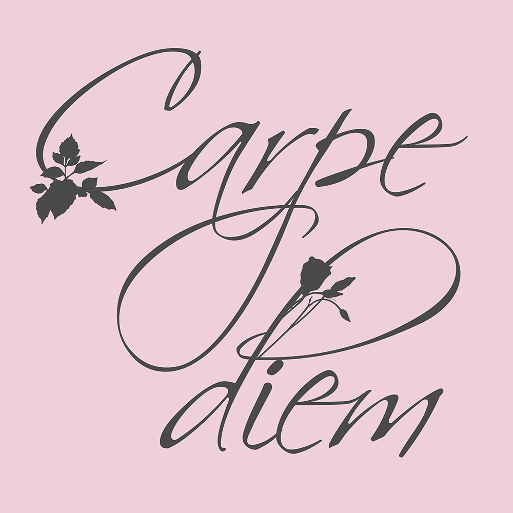 Carpe Diem op canvas roze