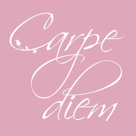 Carpe Diem op canvas roze
