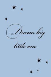 Dream big little one op canvas