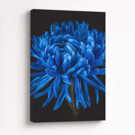 Blauwe bloemen op canvas
