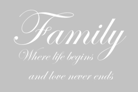 Family where life begins op canvas