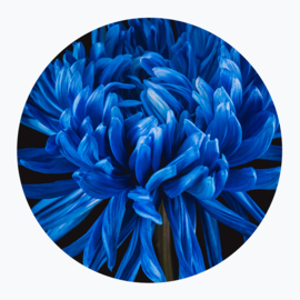 Blauwe bloemen op muurcirkel